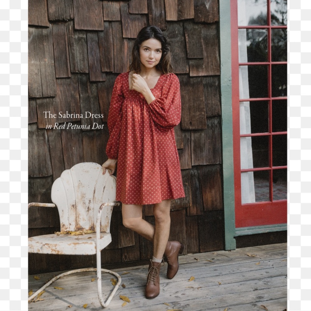 Christy Dawn Sabrina Dress in Red Petunia Dot - Picture 2 of 7